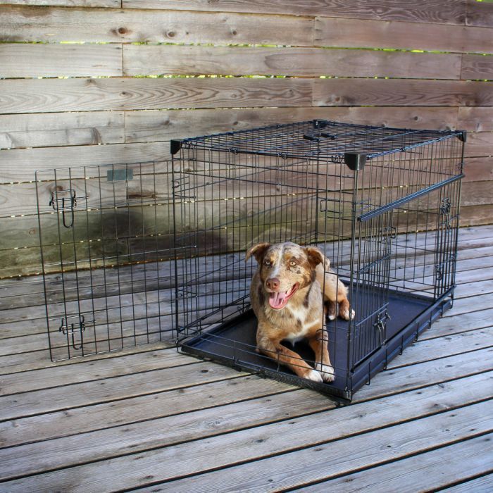 Sac de transport et cage de transport pour chiens et chiots - Petits  Compagnons