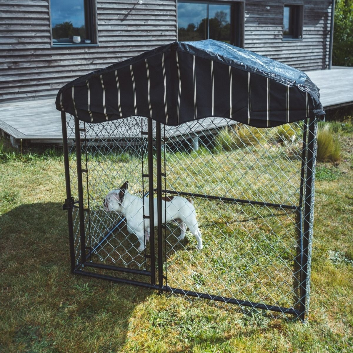 Enclos extérieur pour chien grillagé 150 x 150 x 122 cm avec couverture  toit Lucky Dog - Niche à chien