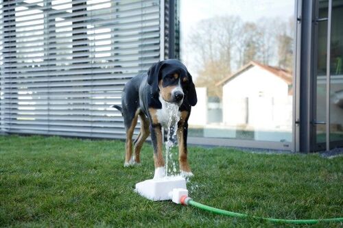 Fontaine à eau pour chien Bubble - Kerbl